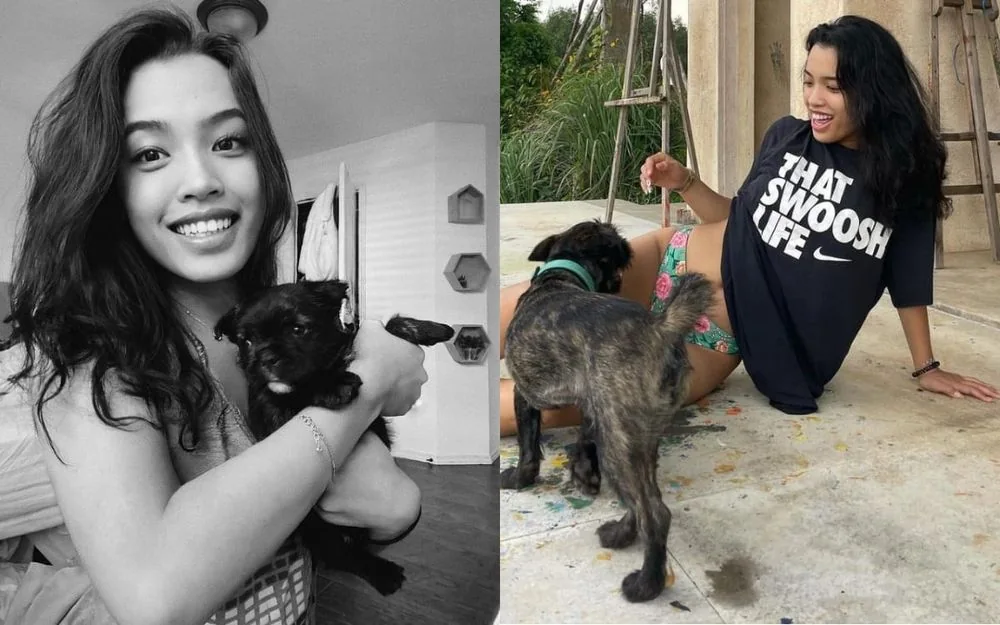 Influencers Who Support Dogs and Cats: Sharing a Love of Pets on Social Media
