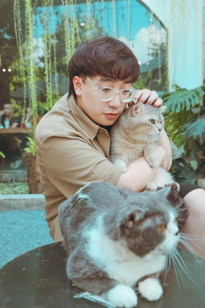 Ảnh minh họa: Chiếc Mèo Tên Sói